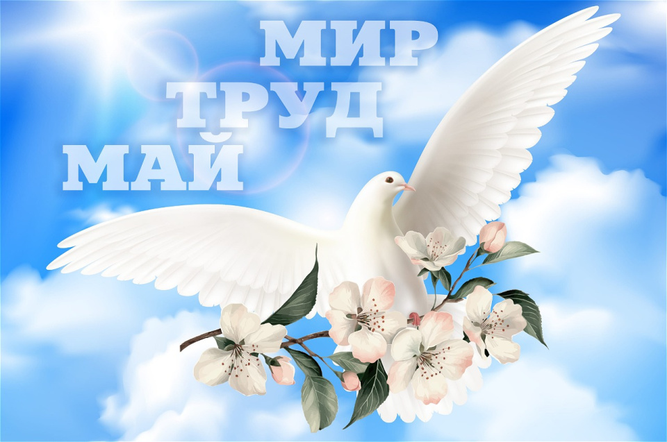 График работы 1-3 мая 2026 года