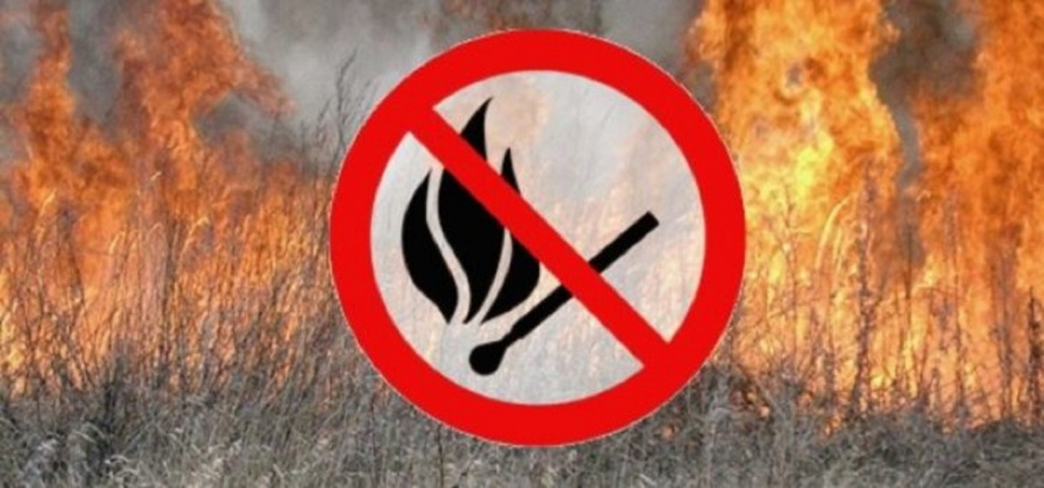 В Саратовской области вводится  противопожарный режим